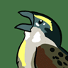 Yelling Bird from Questionable Content